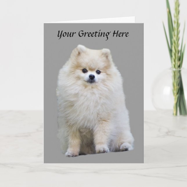 Pomeranian Greeting Card (Front)
