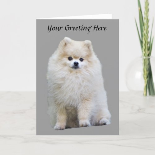 Pomeranian Greeting Card