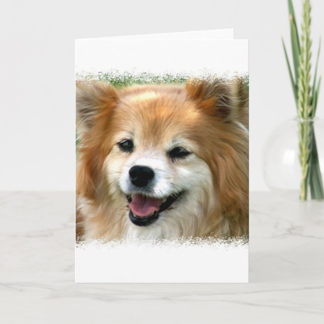 Pomeranian Greeting Card (Front)