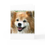 Pomeranian Greeting Card