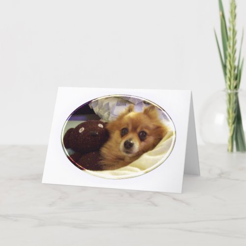 Pomeranian Happy Birthday Card