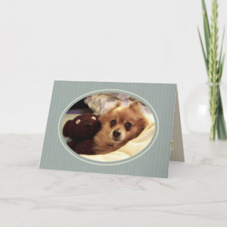 Pomeranian Happy Birthday Wishes Card