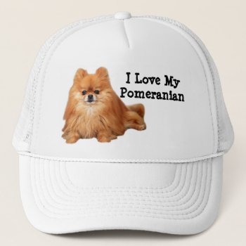 Pomeranian Hat by normagolden at Zazzle