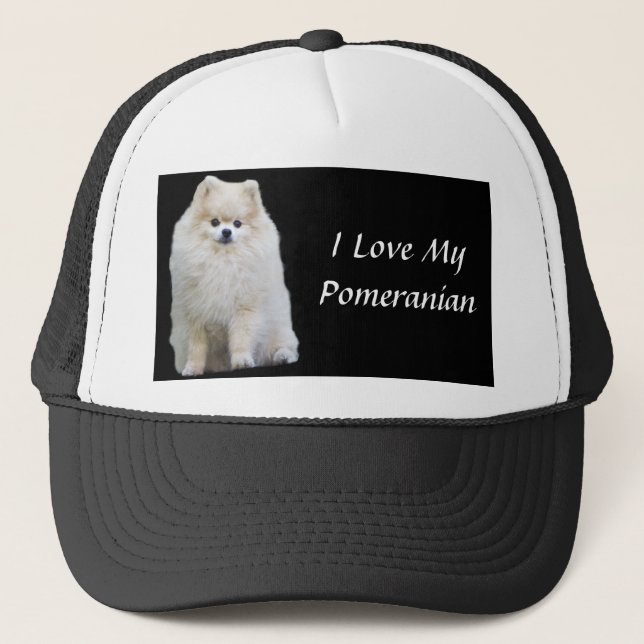 Pomeranian Hat (Front)