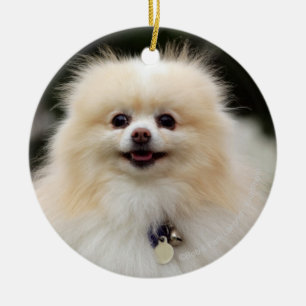 Pomeranian Headshot 1 Ceramic Ornament