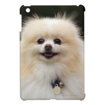 Pomeranian Headshot 1 iPad Mini Cover