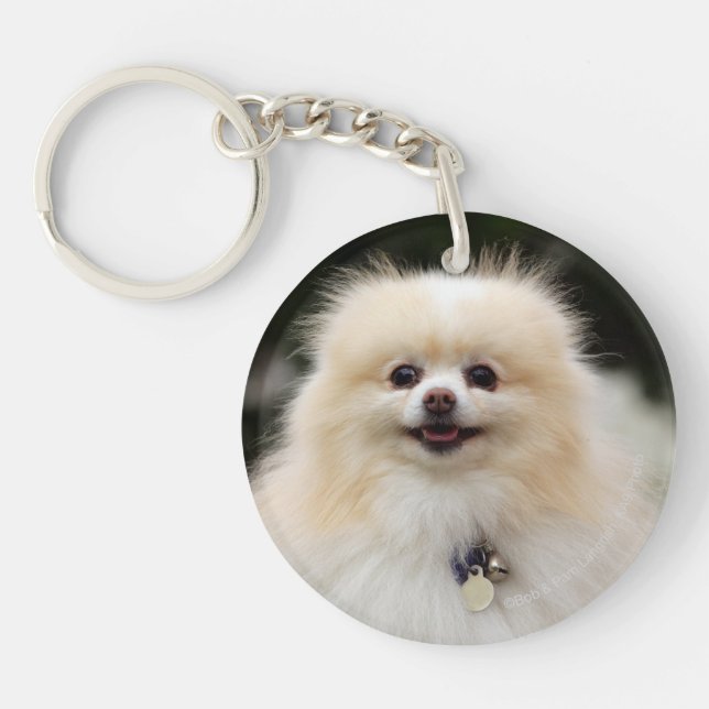 Pomeranian Headshot 1 Keychain (Front)