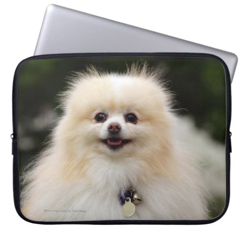 Pomeranian Headshot 1 Laptop Sleeve