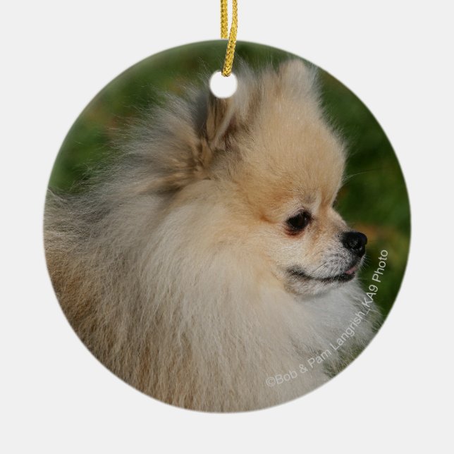 Pomeranian Headshot 2 Ceramic Ornament (Front)
