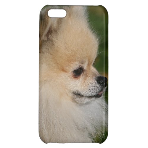 Pomeranian Headshot 2 iPhone 5C Case