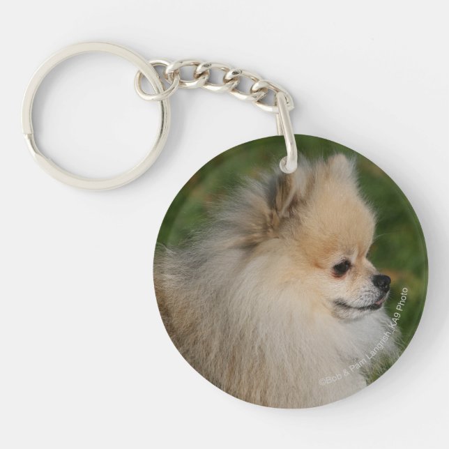 Pomeranian Headshot 2 Keychain (Front)