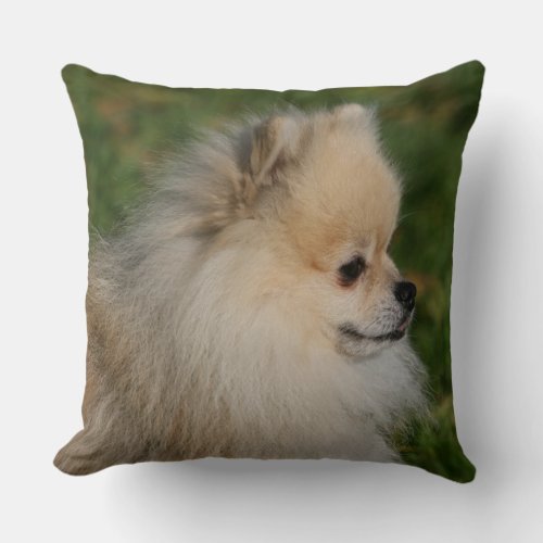 Pomeranian Headshot 2 Throw Pillow