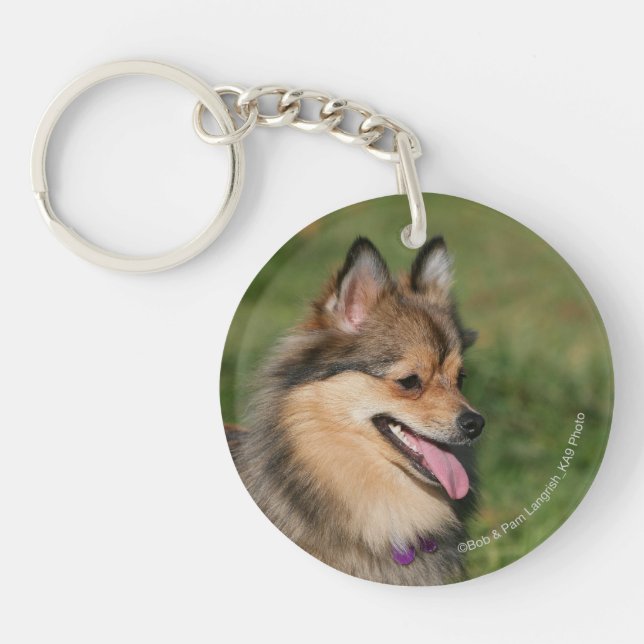 Pomeranian Headshot Panting Keychain (Front)