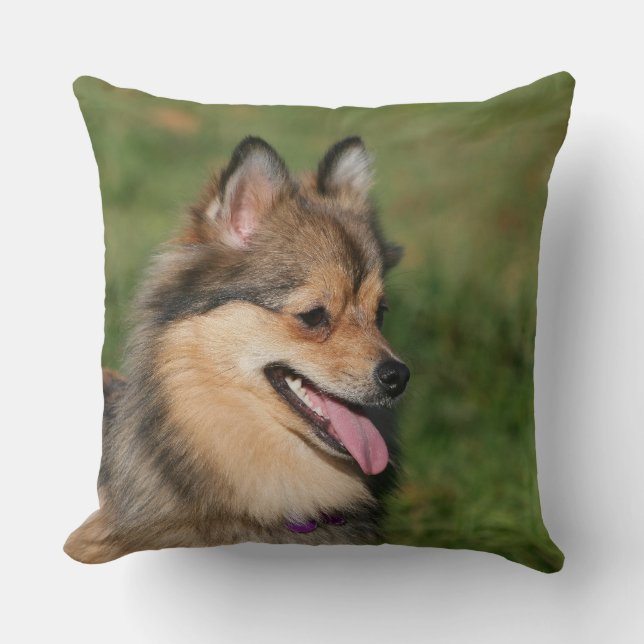 Pomeranian Headshot Panting Throw Pillow (Front)