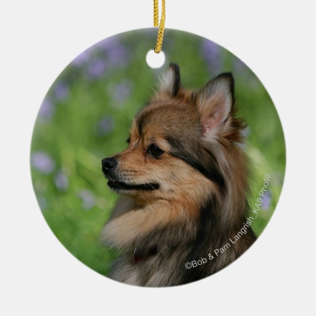 Pomeranian Headshot Sitting Ceramic Ornament (Front)