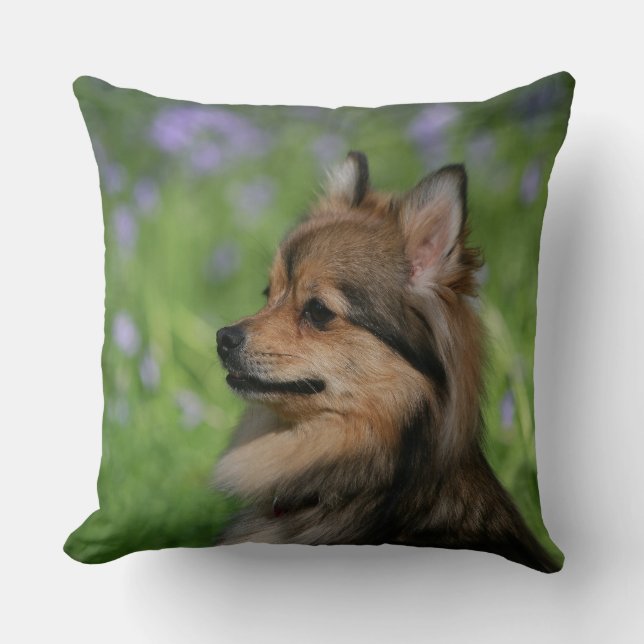 Pomeranian Headshot Sitting Throw Pillow (Front)