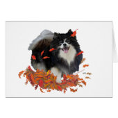 Pomeranian in Autumn (Front Horizontal)