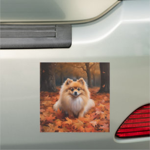 Pomeranian in Autumn Leaves Fall Inspire Car Magnet