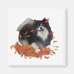 Pomeranian in Autumn Magnet