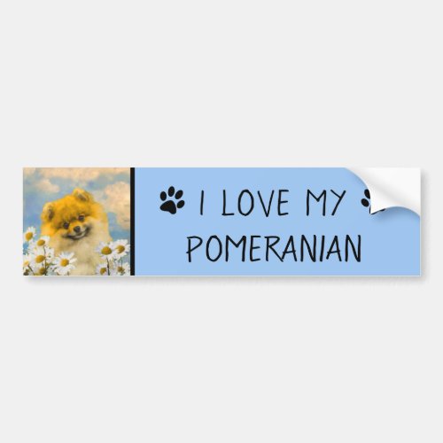 Pomeranian in Daisies Painting _ Original Dog Art Bumper Sticker