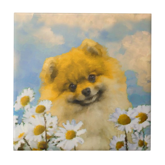 pomeranian painting