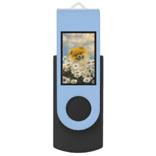 Pomeranian in Daisies Painting - Original Dog Art Flash Drive