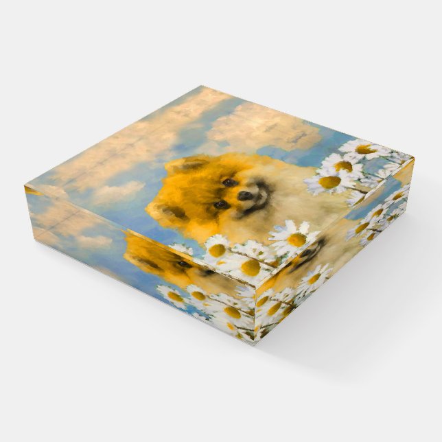 Pomeranian in Daisies Painting - Original Dog Art Paperweight (Angled)