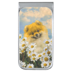 Pomeranian in Daisies Painting - Original Dog Art Silver Finish Money Clip