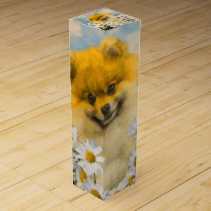 Pomeranian in Daisies Painting - Original Dog Art Wine Box
