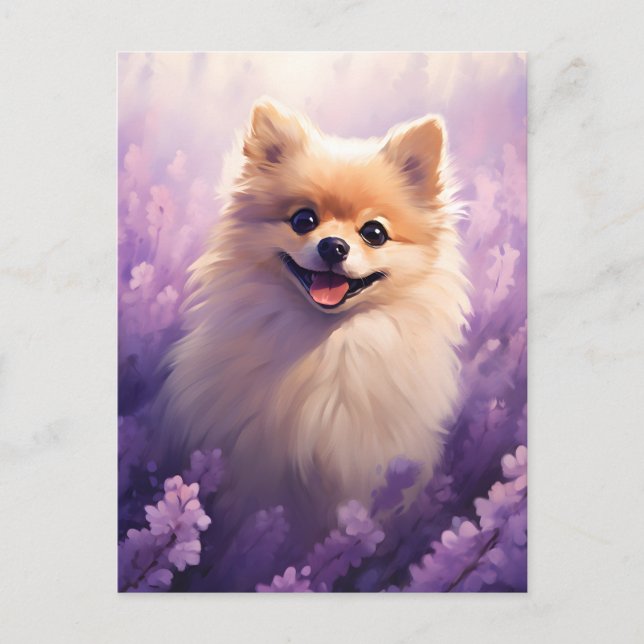 Pomeranian in Lavender field Postcard (Front)