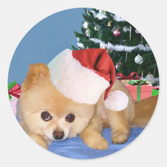 Pomeranian in Santa Hat Sticker (Front)