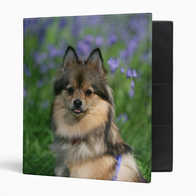 Pomeranian in the Grass Binder (Front/Inside)