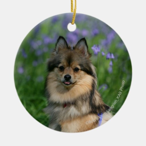 Pomeranian in the Grass Ceramic Ornament