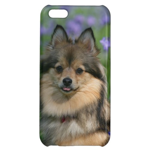 Pomeranian in the Grass iPhone 5C Case