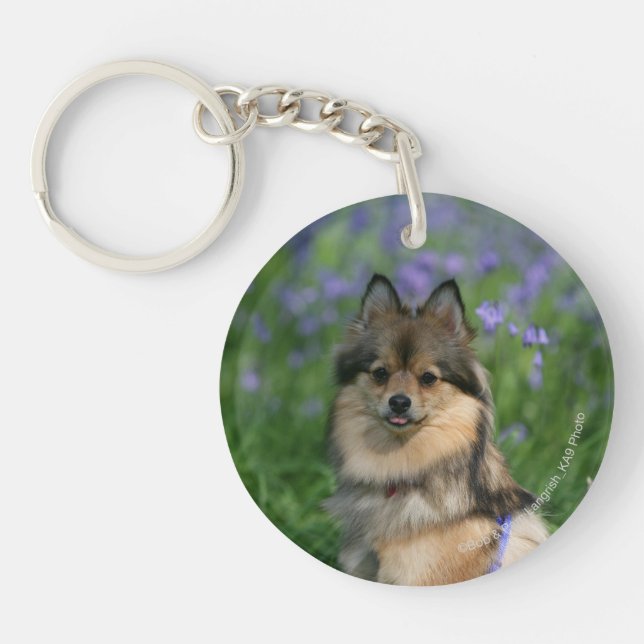 Pomeranian in the Grass Keychain (Front)