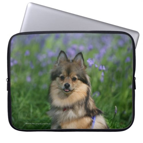 Pomeranian in the Grass Laptop Sleeve