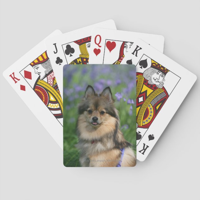 Pomeranian in the Grass Poker Cards (Back)