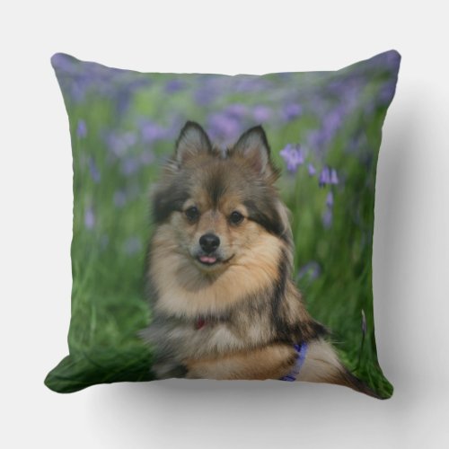 Pomeranian in the Grass Throw Pillow