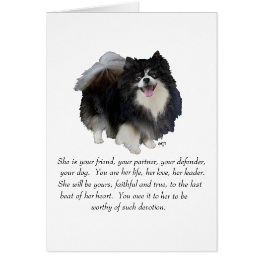 Pomeranian Keepsake Female Cards (Front)