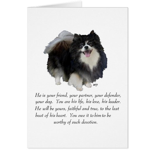 Pomeranian Keepsake Male (Front)