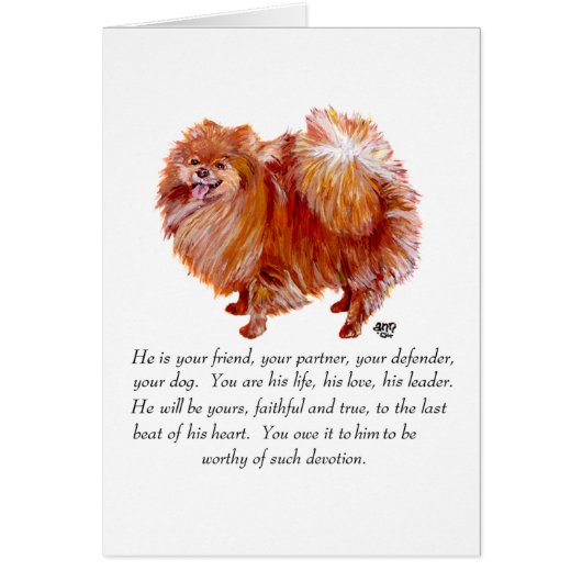 Pomeranian Keepsake Male (Front)