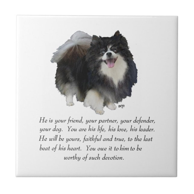 Pomeranian Keepsake Male Tile (Front)