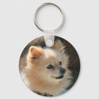 Pomeranian keychain
