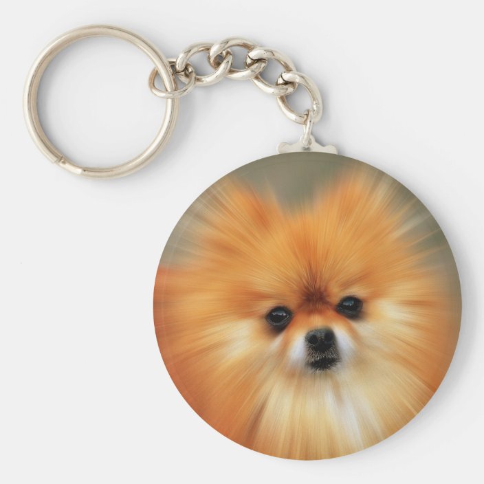 pomeranian keyring