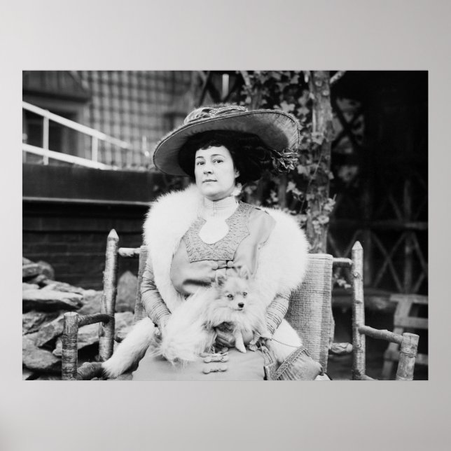 Pomeranian Lady, early 1900s Poster (Front)