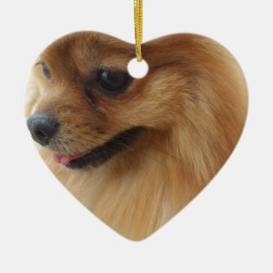 Pomeranian Lover Ceramic Ornament