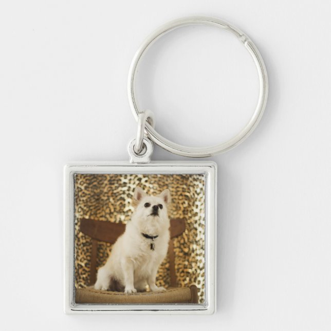 Pomeranian mix keychain (Front)