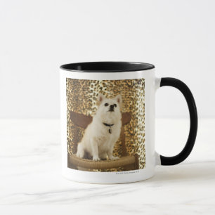 Pomeranian mix mug
