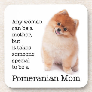 Pomeranian Mom Coaster Set