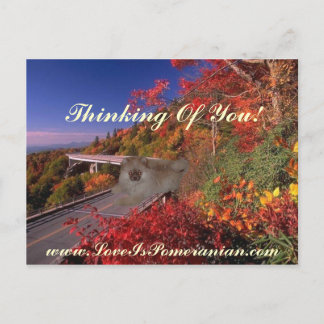 Pomeranian Named Zeus Colorful Autumn Scene Postcard